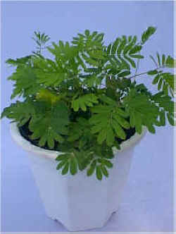 ��޷޿�.jpg (57355 �o�C�g)